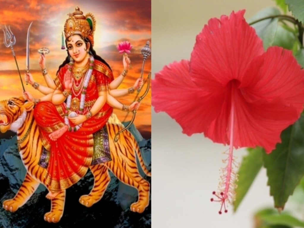 Navratri 2024: Honor the 9 Goddesses with Their Favorite Flowers for Blessings at Home!