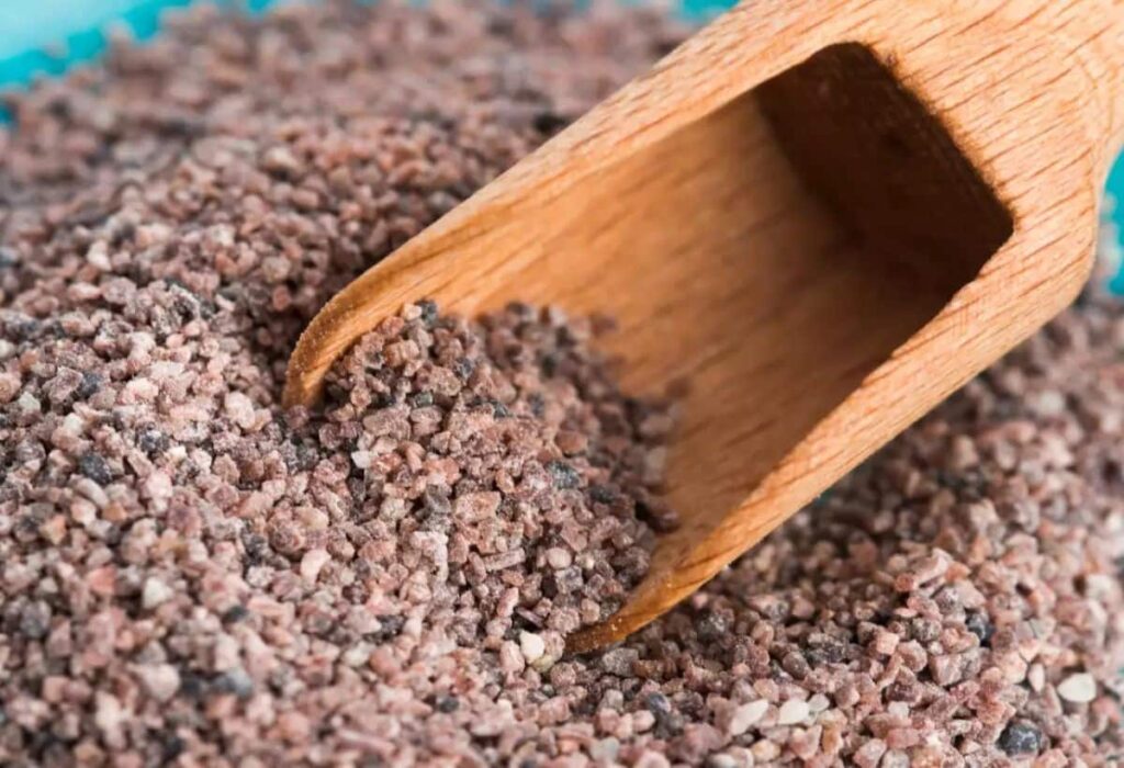 Diabetes: Black Seed Benefits for Blood Pressure and Weight Control