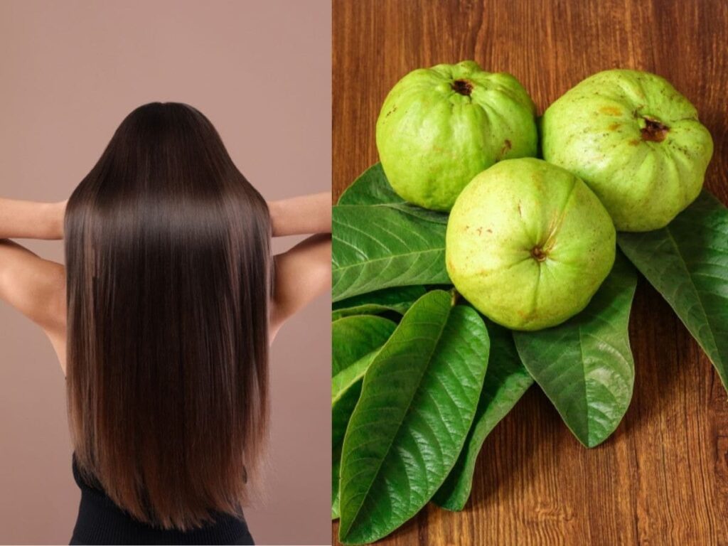 Boost Hair Growth with Guava Leaves: Essential Tips for Long, Thick Locks!