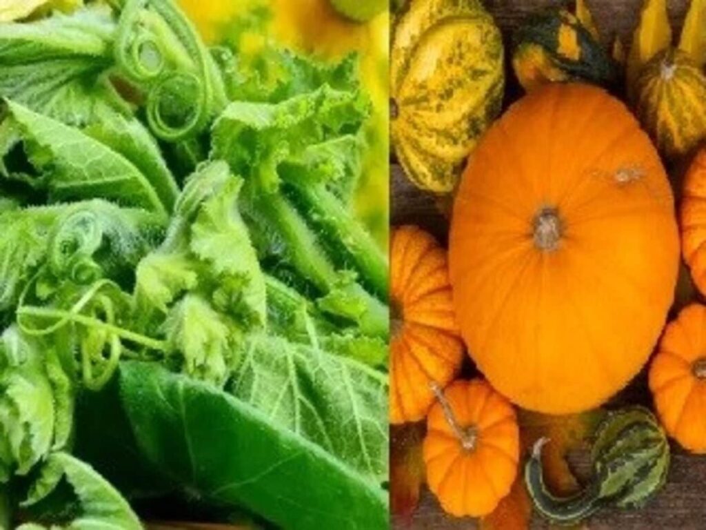 Pumpkin Leaves: A Health Boost for Women, Tackling Mood Swings and Anemia!