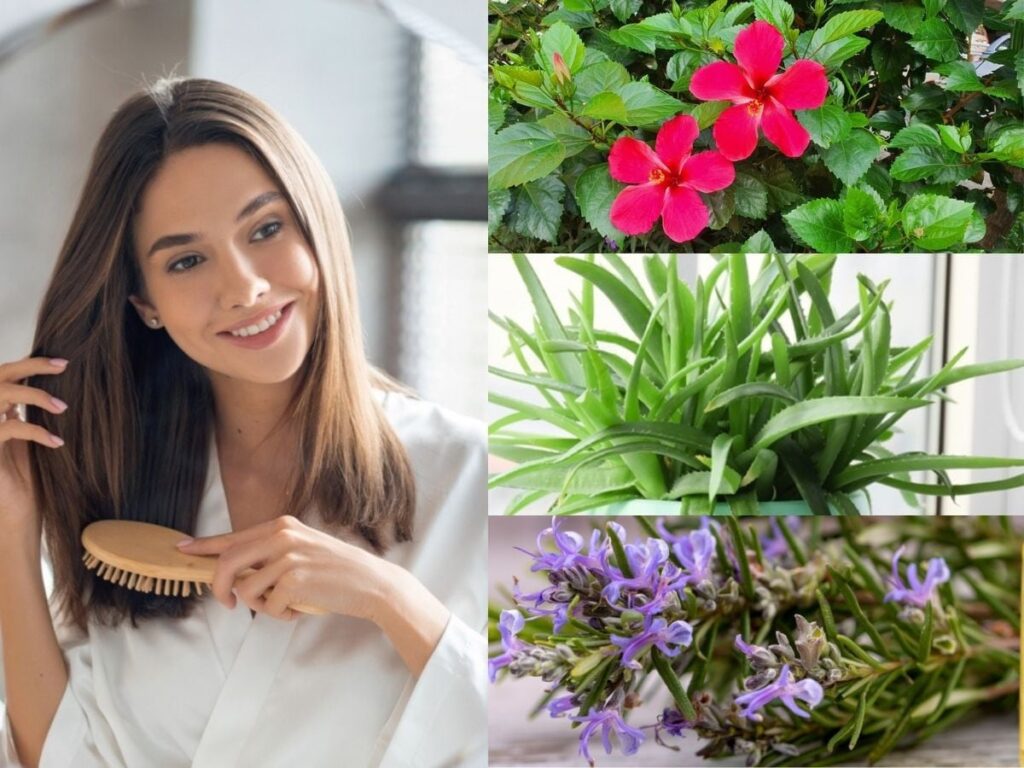 3 Best Plants for Hair Growth: Discover How to Use Them!